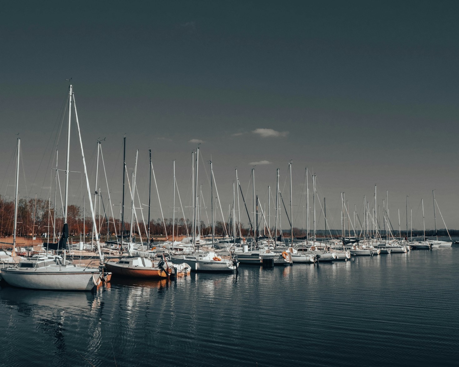 Understanding the Risks of Overdevelopment on Lakes